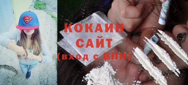 ПСИЛОЦИБИНОВЫЕ ГРИБЫ Абаза