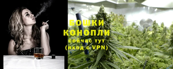 ПСИЛОЦИБИНОВЫЕ ГРИБЫ Абаза