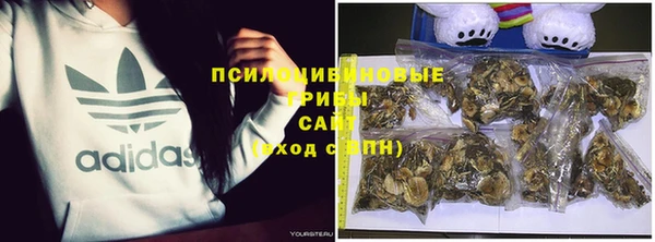 ПСИЛОЦИБИНОВЫЕ ГРИБЫ Абаза