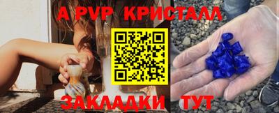 сатива Можга